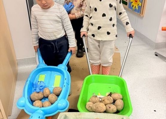 Grafika 3: ,,Wykopki''