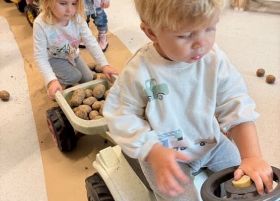 Grafika 14: ,,Wykopki''