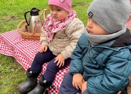 Grafika 6: ,,Wykopki''