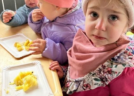 Grafika 21: ,,Wykopki''