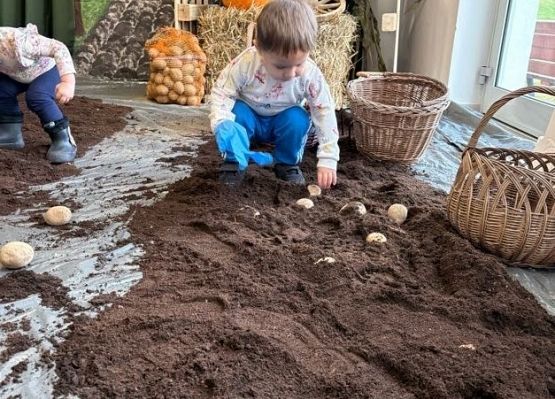 Grafika 8: ,,Wykopki''