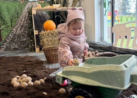 Grafika 10: ,,Wykopki''