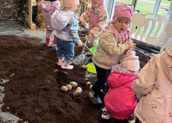 Grafika 27: ,,Wykopki''