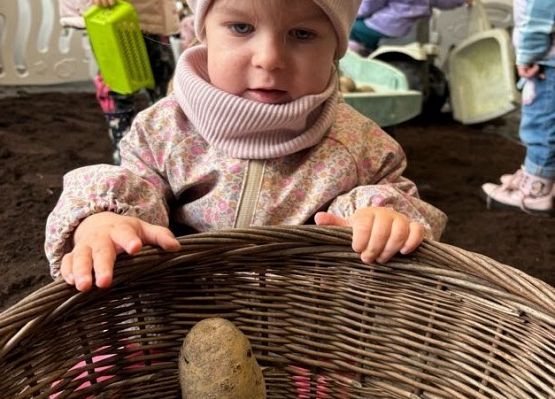 Grafika 29: ,,Wykopki''