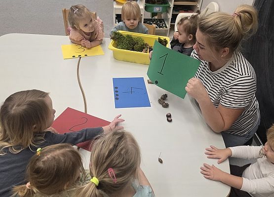 Grafika 2: Zapasy wiewiórki