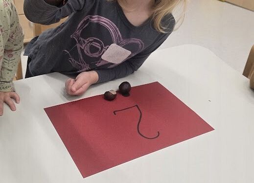 Grafika 1: Zapasy wiewiórki