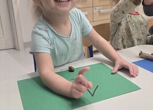 Grafika 5: Zapasy wiewiórki