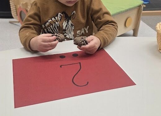 Grafika 8: Zapasy wiewiórki