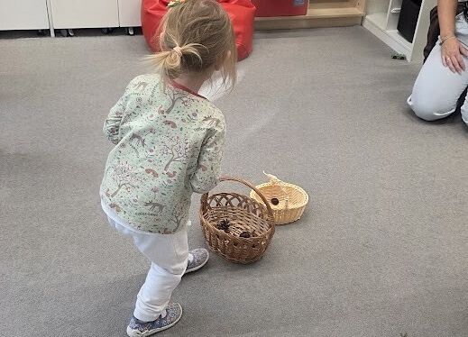 Grafika 9: Zapasy wiewiórki