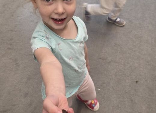 Grafika 10: Zapasy wiewiórki