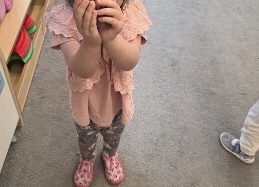 Grafika 12: Zapasy wiewiórki