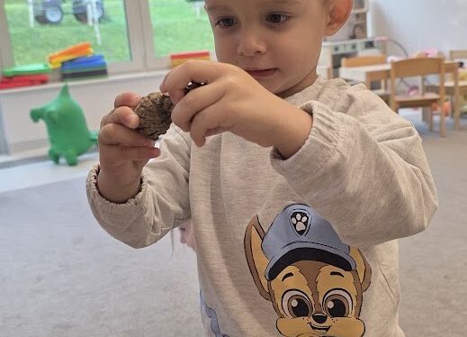 Grafika 13: Zapasy wiewiórki