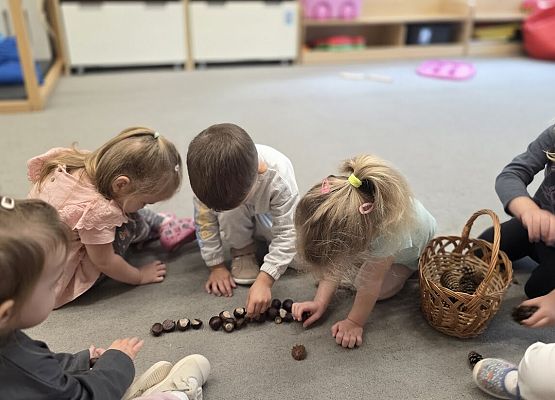 Grafika 15: Zapasy wiewiórki