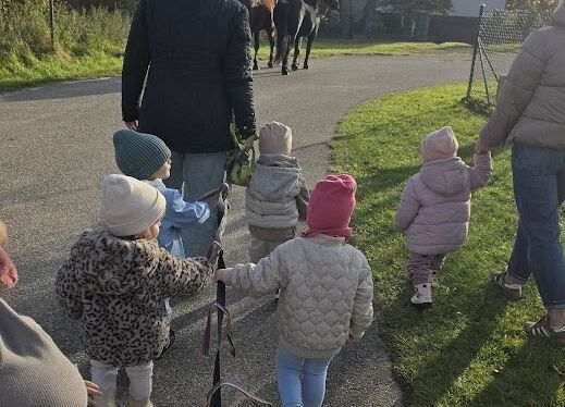 Grafika 17: Zapasy wiewiórki