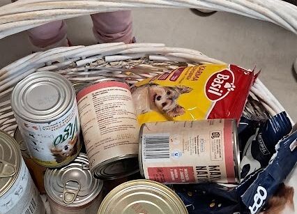 Grafika 6: Zakończenie zbiórki dla zwierząt ze schroniska Bajer w Małoszycach