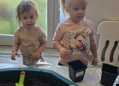 Grafika 1: Ogród ziołowy wertykalny