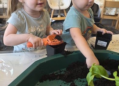 Grafika 4: Ogród ziołowy wertykalny