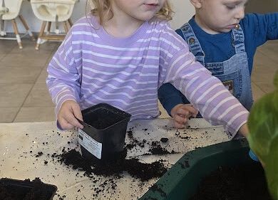 Grafika 5: Ogród ziołowy wertykalny