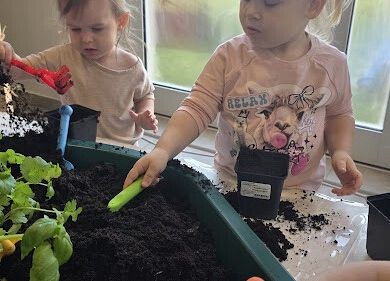 Grafika 6: Ogród ziołowy wertykalny