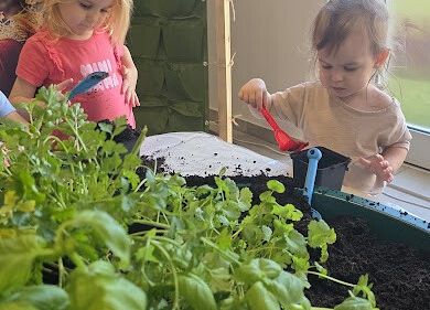 Grafika 7: Ogród ziołowy wertykalny