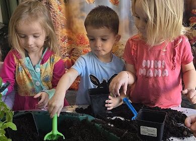 Grafika 8: Ogród ziołowy wertykalny