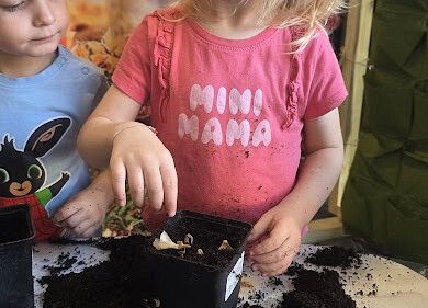 Grafika 9: Ogród ziołowy wertykalny