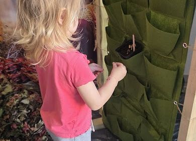 Grafika 10: Ogród ziołowy wertykalny