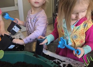 Grafika 11: Ogród ziołowy wertykalny