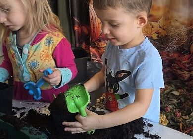 Grafika 12: Ogród ziołowy wertykalny