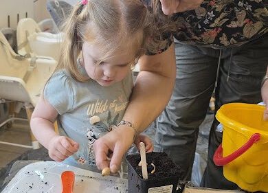 Grafika 14: Ogród ziołowy wertykalny