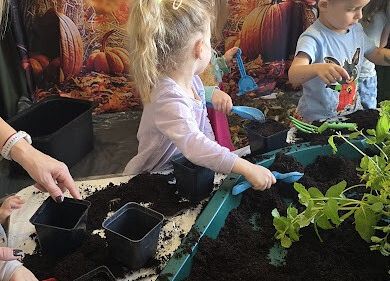 Grafika 15: Ogród ziołowy wertykalny