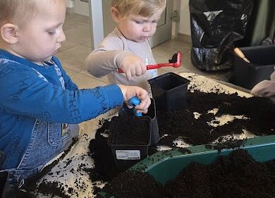 Grafika 16: Ogród ziołowy wertykalny