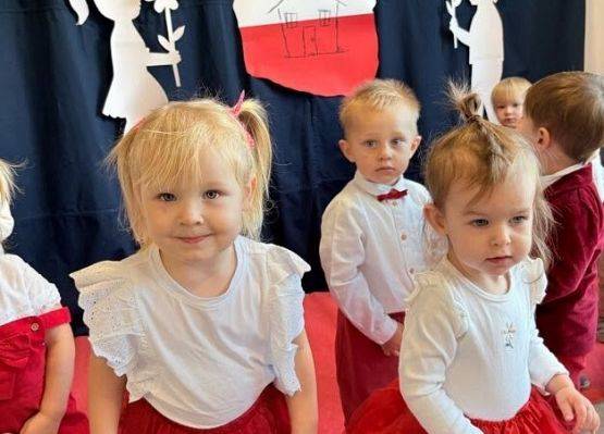 Grafika 5: Narodowe Święto Niepodległości