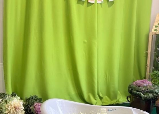 Grafika 1: Kiszenie kapusty