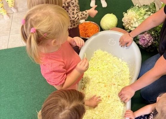 Grafika 2: Kiszenie kapusty