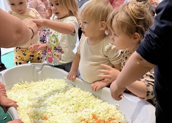 Grafika 3: Kiszenie kapusty