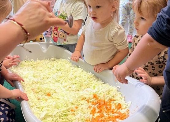 Grafika 4: Kiszenie kapusty