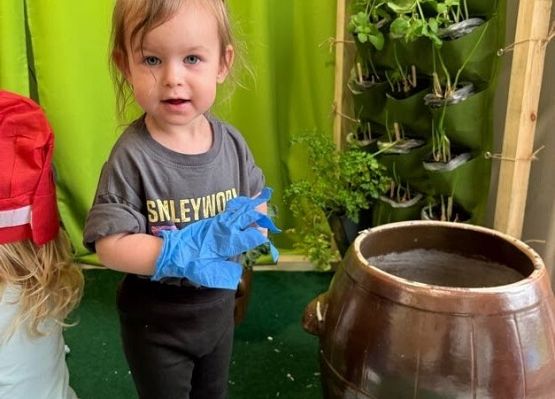 Grafika 5: Kiszenie kapusty