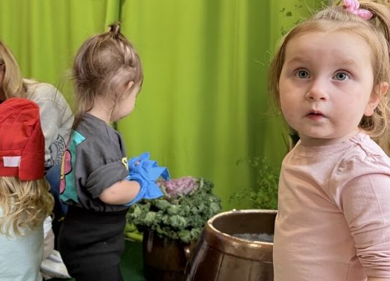 Grafika 6: Kiszenie kapusty