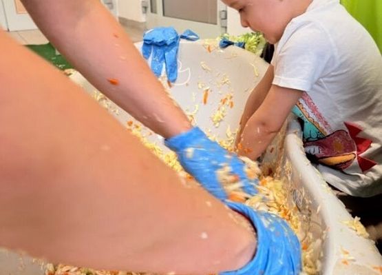 Grafika 13: Kiszenie kapusty