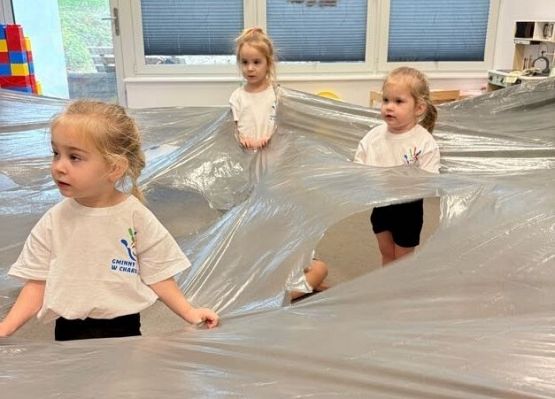 Grafika 5: Zajęcia ,,Klekso-stopy'' i Głowo-okienka''.