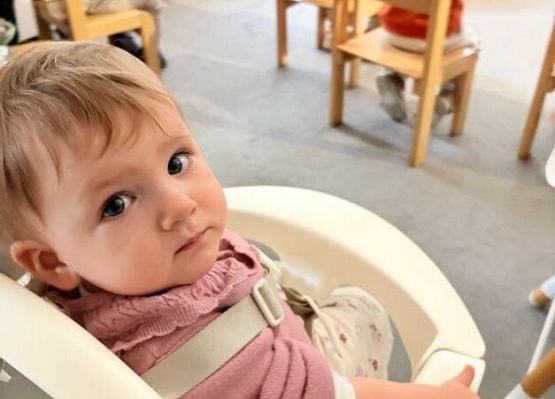 Grafika 4: Dzień Pluszowego Misia