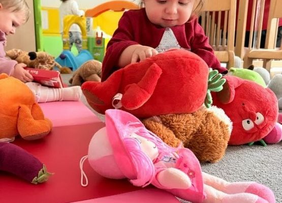 Grafika 13: Dzień Pluszowego Misia