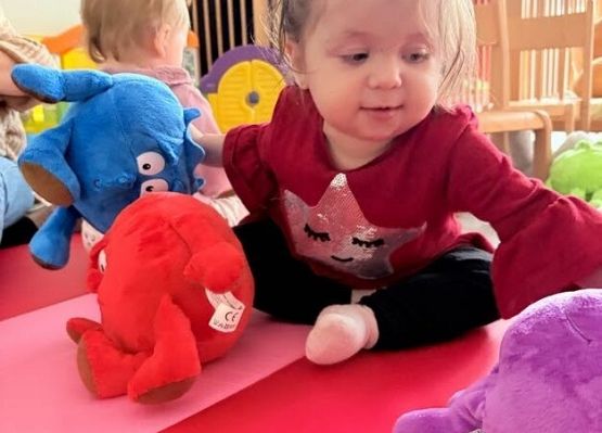 Grafika 14: Dzień Pluszowego Misia