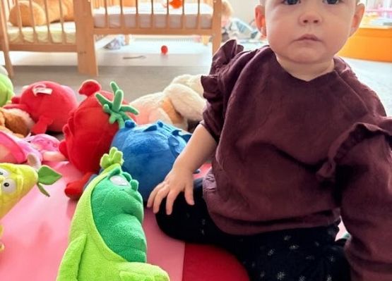 Grafika 15: Dzień Pluszowego Misia