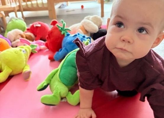 Grafika 16: Dzień Pluszowego Misia