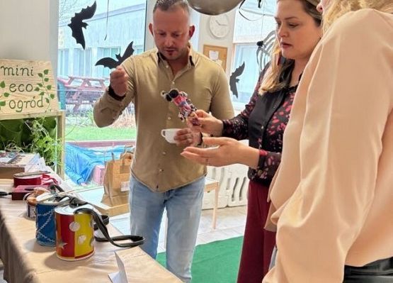 Grafika 1: Konkurs Rodzinny Eco - instrument