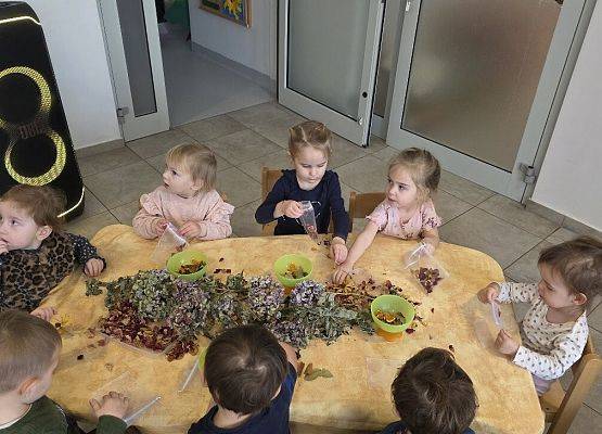 Grafika 18: ,,Zatrzymać lata moment'' ,, Pachnąca szafa''.