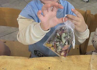 Grafika 13: ,,Zatrzymać lata moment'' ,, Pachnąca szafa''.