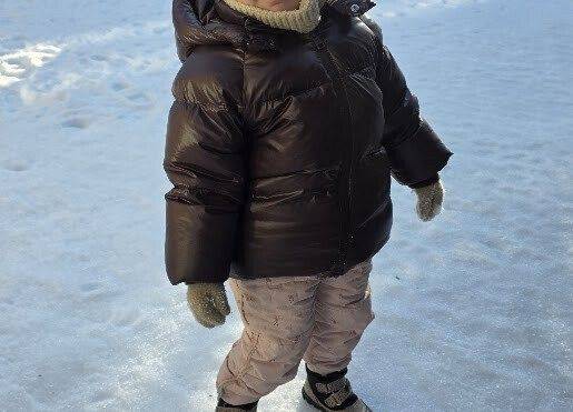 Grafika 1: Temat kompleksowy ,, W krainie Dinozaurów''